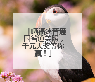 晒福建普通国省道美照，千元大奖等你赢！