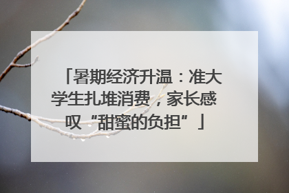 暑期经济升温：准大学生扎堆消费，家长感叹“甜蜜的负担”