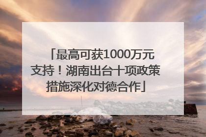 最高可获1000万元支持！湖南出台十项政策措施深化对德合作