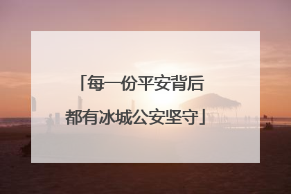 每一份平安背后 都有冰城公安坚守