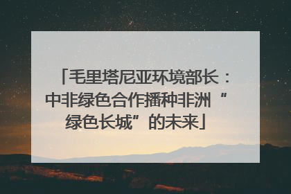 毛里塔尼亚环境部长：中非绿色合作播种非洲“绿色长城”的未来