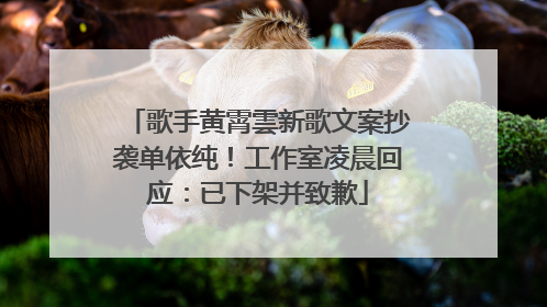 歌手黄霄雲新歌文案抄袭单依纯！工作室凌晨回应：已下架并致歉