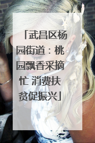 武昌区杨园街道：桃园飘香采摘忙 消费扶贫促振兴