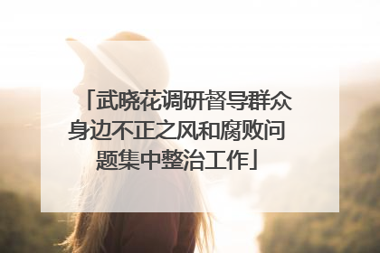 武晓花调研督导群众身边不正之风和腐败问题集中整治工作