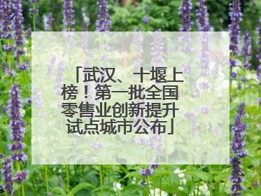 武汉、十堰上榜！第一批全国零售业创新提升试点城市公布