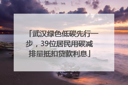 武汉绿色低碳先行一步，39位居民用碳减排量抵扣贷款利息