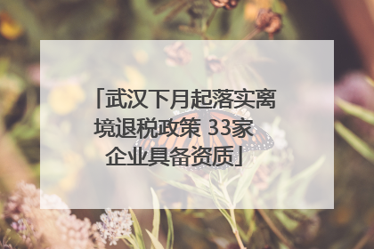 武汉下月起落实离境退税政策 33家企业具备资质