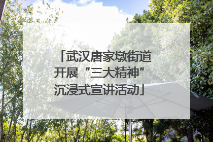 武汉唐家墩街道开展“三大精神”沉浸式宣讲活动
