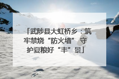 武陟县大虹桥乡：筑牢禁烧“防火墙” 守护夏粮好“丰”景