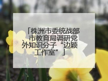 株洲市委统战部、市教育局调研党外知识分子“边颖工作室”