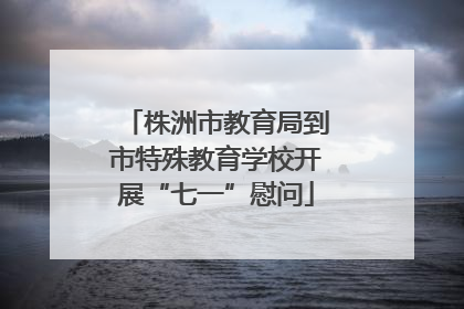 株洲市教育局到市特殊教育学校开展“七一”慰问