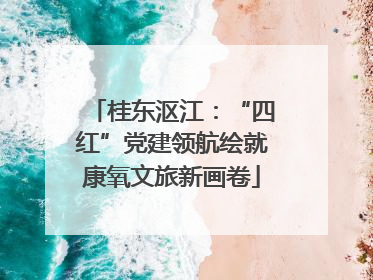 桂东沤江：“四红”党建领航绘就康氧文旅新画卷