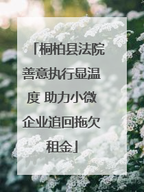 桐柏县法院善意执行显温度 助力小微企业追回拖欠租金