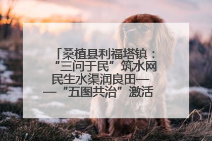 桑植县利福塔镇：“三问于民”筑水网 民生水渠润良田——“五图共治”激活基层治理新动能