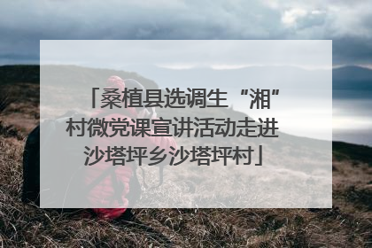 桑植县选调生“湘”村微党课宣讲活动走进沙塔坪乡沙塔坪村