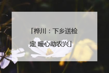 桦川：下乡送检定 暖心助农兴
