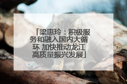 梁惠玲：积极服务和融入国内大循环 加快推动龙江高质量振兴发展