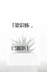梁识栋，已履新