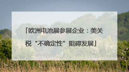 欧洲电池展参展企业：美关税“不确定性”阻碍发展
