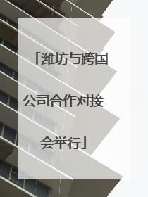 潍坊与跨国公司合作对接会举行