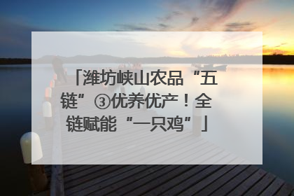 潍坊峡山农品“五链”③优养优产！全链赋能“一只鸡”