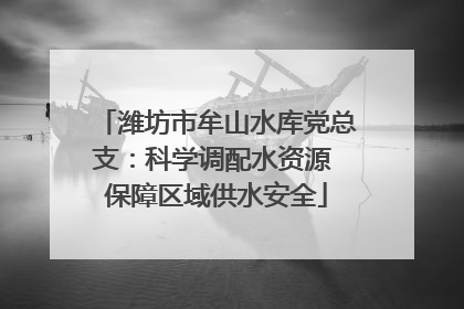 潍坊市牟山水库党总支：科学调配水资源 保障区域供水安全