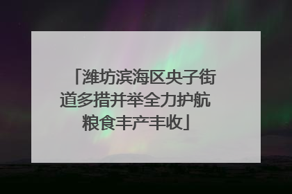 潍坊滨海区央子街道多措并举全力护航粮食丰产丰收
