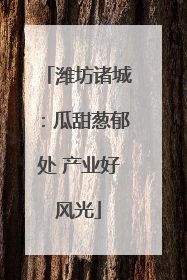 潍坊诸城：瓜甜葱郁处 产业好风光