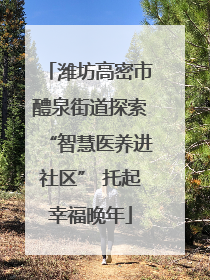 潍坊高密市醴泉街道探索“智慧医养进社区” 托起幸福晚年