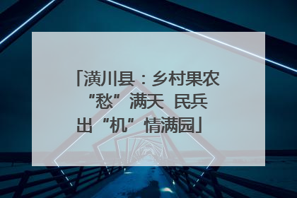 潢川县：乡村果农“愁”满天  民兵出“机”情满园