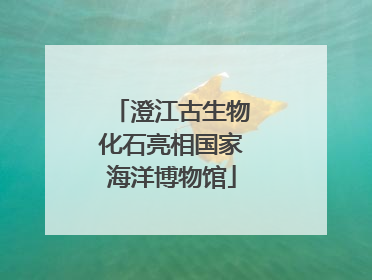 澄江古生物化石亮相国家海洋博物馆