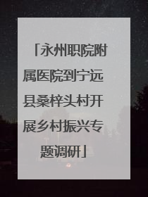 永州职院附属医院到宁远县桑梓头村开展乡村振兴专题调研