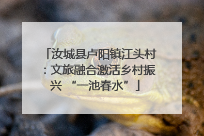 汝城县卢阳镇江头村：文旅融合激活乡村振兴 “一池春水”