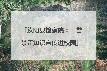 汝阳县检察院：干警禁毒知识宣传进校园