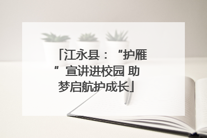 江永县：“护雁”宣讲进校园 助梦启航护成长