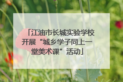 江油市长城实验学校开展“城乡学子同上一堂美术课”活动
