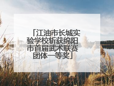 江油市长城实验学校斩获绵阳市首届武术联赛团体一等奖