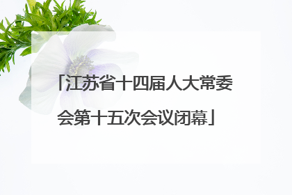 江苏省十四届人大常委会第十五次会议闭幕