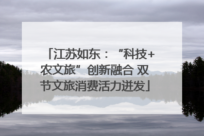 江苏如东：“科技+农文旅”创新融合 双节文旅消费活力迸发