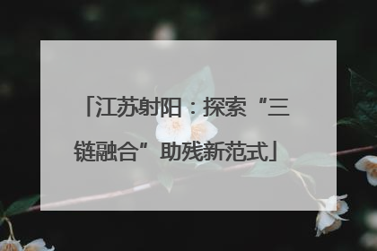 江苏射阳：探索“三链融合”助残新范式