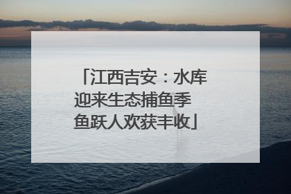 江西吉安：水库迎来生态捕鱼季 鱼跃人欢获丰收
