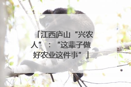 江西庐山“兴农人”：“这辈子做好农业这件事”