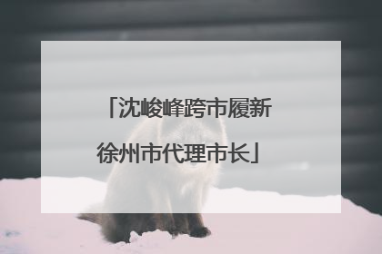 沈峻峰跨市履新徐州市代理市长