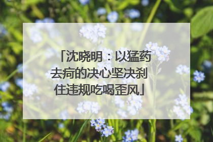 沈晓明：以猛药去疴的决心坚决刹住违规吃喝歪风