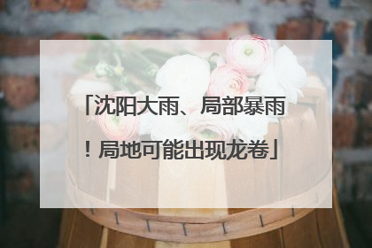 沈阳大雨、局部暴雨！局地可能出现龙卷