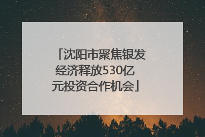 沈阳市聚焦银发经济释放530亿元投资合作机会