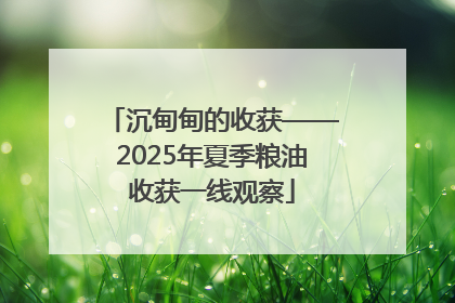 沉甸甸的收获——2025年夏季粮油收获一线观察