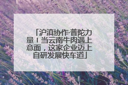 沪滇协作·普陀力量〡当云南牛肉遇上意面，这家企业迈上自研发展快车道