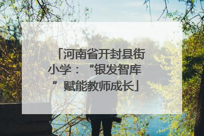 河南省开封县街小学：“银发智库”赋能教师成长