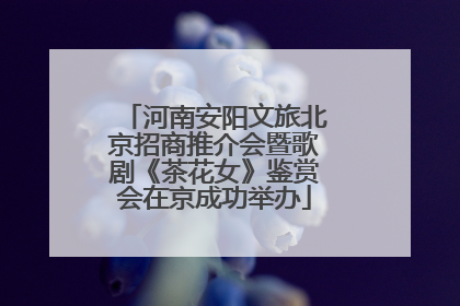 河南安阳文旅北京招商推介会暨歌剧《茶花女》鉴赏会在京成功举办